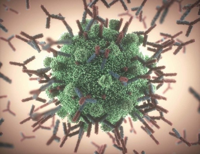 Controlling future pandemics with super-antibodies
