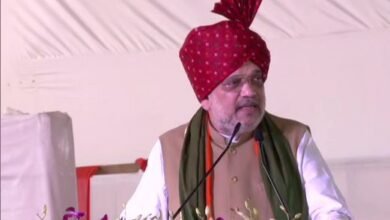 राहुल को प्रधानमंत्री बनाने के लिए कांग्रेस कर रही हैं कोशिश : शाह