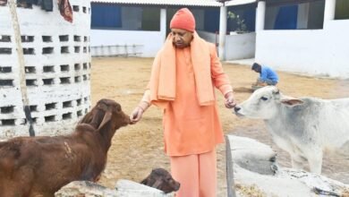 सबके दुख व संकट में साथ खड़ी है सरकार : योगी आदित्यनाथ