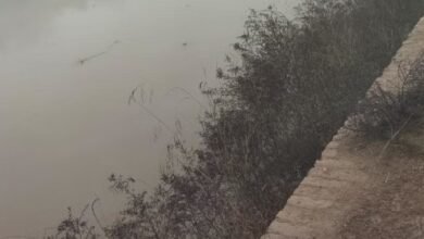 कोहरे के कारण नहर में गिरी कार, तीन युवकों की मौत...