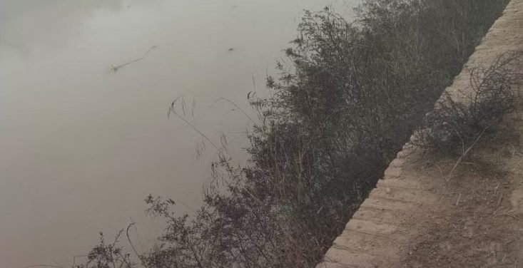 कोहरे के कारण नहर में गिरी कार, तीन युवकों की मौत...