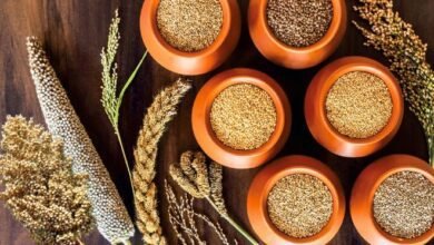 ग्लोबल वार्मिंग के खतरे में भविष्य की खेती साबित होंगे मिलेट्स