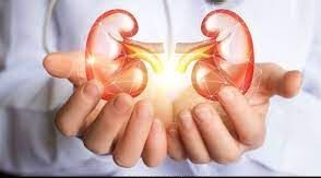 जानिए किडनी डिजीज से जुड़ी अहम बातें