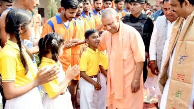 yogi