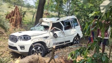 तेज रफ्तार स्कार्पियो पेड़ से टकराई-3 महिलाओं की मौत-1 गंभीर