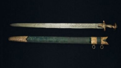 17 मिलियन डॉलर से अधिक में बिकी टीपू सुल्तान की तलवार