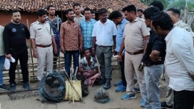 शिकारियों से बाघ की खाल- दांत-नाखून समेत कई अंग बरामद- 5 गिरफ्तार