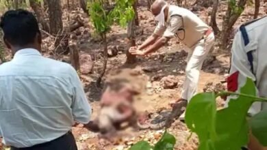 एकतरफा प्यार में पागल युवती की युवक ने की हत्या