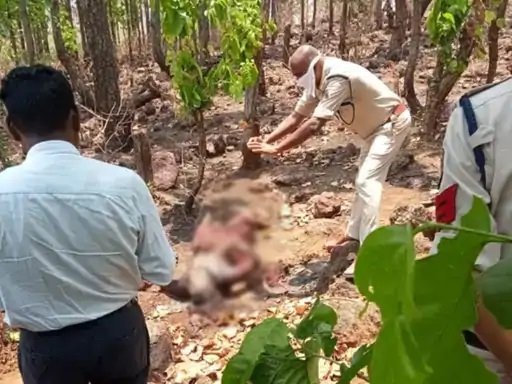 एकतरफा प्यार में पागल युवती की युवक ने की हत्या