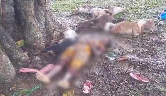 आकाशीय बिजली गिरने से महिला व 12 बकरियों की मौत, 3 झुलसे