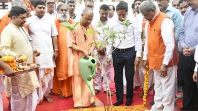 मंदिर परिसर में किया हरिशंकरी बरगद, पीपल, पाकड़ का पौधरोपण