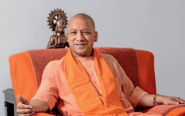 yogi