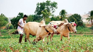 "लैब टू लैंड" नारे को साकार कर रहे मिलियन फार्मर्स स्कूल
