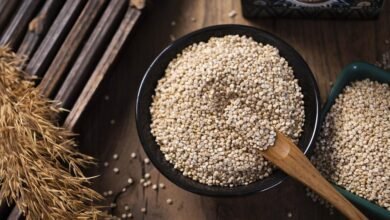 अंतरराष्ट्रीय मिलेट्स वर्ष :काशी से लेकर वाशिंगटन तक मिलेट्स का जलवा