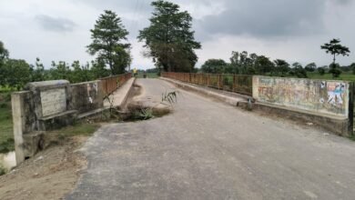 पुल का एप्रोच क्षतिग्रस्त,हादसे की आशंका