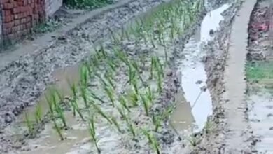 रास्ते पर धान की रोपाई कर ग्रामीणों ने जताया विरोध