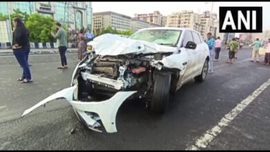 तेज रफ्तार जगुआर ने भीड़ को रौंदा, 9 की मौत, 15 गंभीर