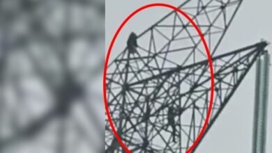 शादीशुदा प्रेमिका हाईटेंशन टावर पर चढ़ी