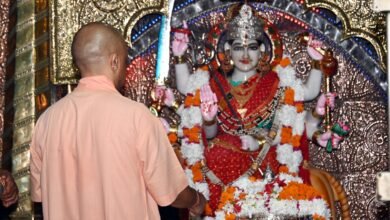 सीएम ने देवीपाटन मंदिर में की पूजा-अर्चना एवं रूद्राभिषेक, गौशाला में गायों को खिलाया गुड़ और चारा