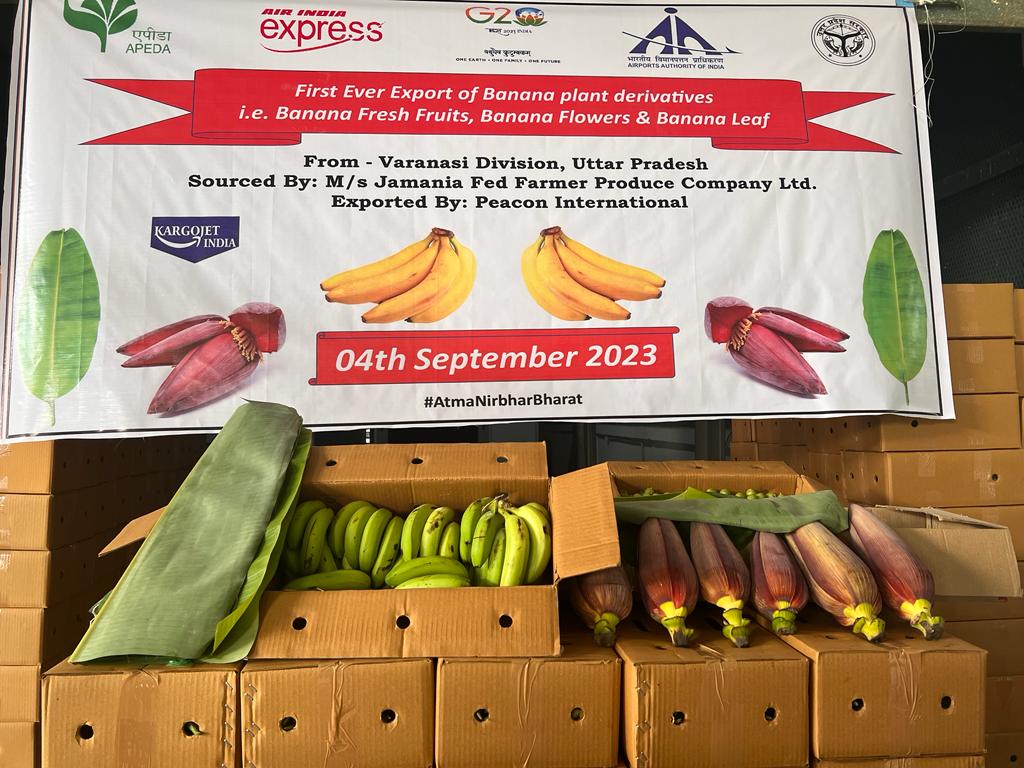 योगी सरकार की मदद से एपीडा फलों और सब्जियों को विदेशी बाजार करा रही उपलब्ध