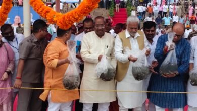 इंटरनेशनल यूनियन फॉर कंजर्वेशन ऑफ नेचर (IUCN) ने नियर थ्रीटेंड की श्रेणी में रखा है चिताला मछली को 