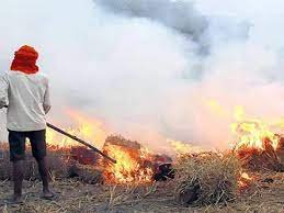किसानों से पराली न जलाने की अपील की जाये