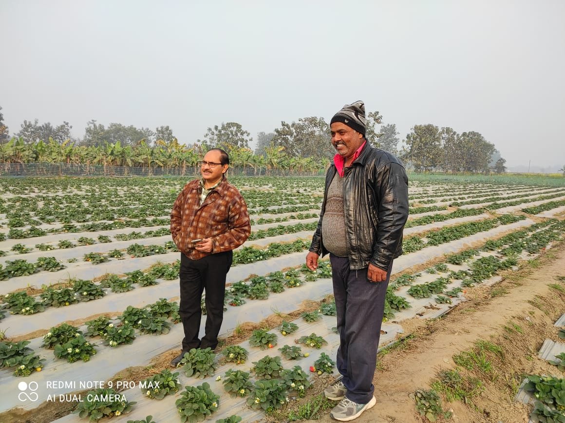 कृषि विविधिकरण की मिसाल हैं धर्मेंद्र