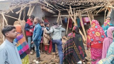 हाथी के हमले मे बुजुर्ग महिला की मौत