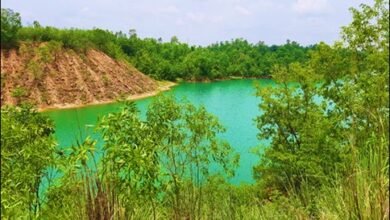 कोयले रहित भूमि पर जीवन, एक इकोसिस्टम आधारित दृष्टिकोण