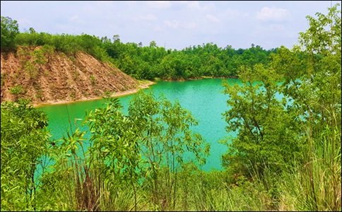 कोयले रहित भूमि पर जीवन, एक इकोसिस्टम आधारित दृष्टिकोण