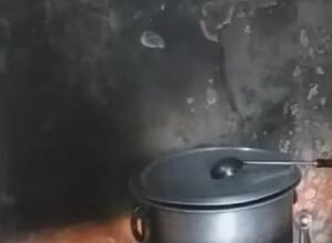 नहीं मिली लकड़ी तो रसोइये ने बेंच जलाकर बनाया मध्यान्ह भोजन