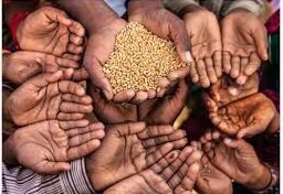 देश में नौ वर्ष में 24.82 करोड़ लोग गरीबी से बाहर, गरीबी अनुपात 11.28 पर आया