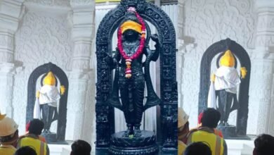 सामने आई रामलला अचल विग्रह की मनमोहक तस्वीर