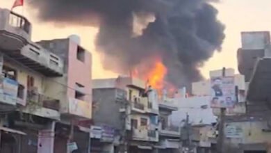 उत्तरी दिल्ली के अलीपुर में पेंट फैक्ट्री में आग लगने से 11 की मौत, चार जख्मी