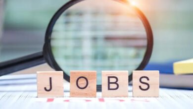 कानपुर और बुलंदशहर जैसे शहरों में मिलेगा बंपर रोजगार