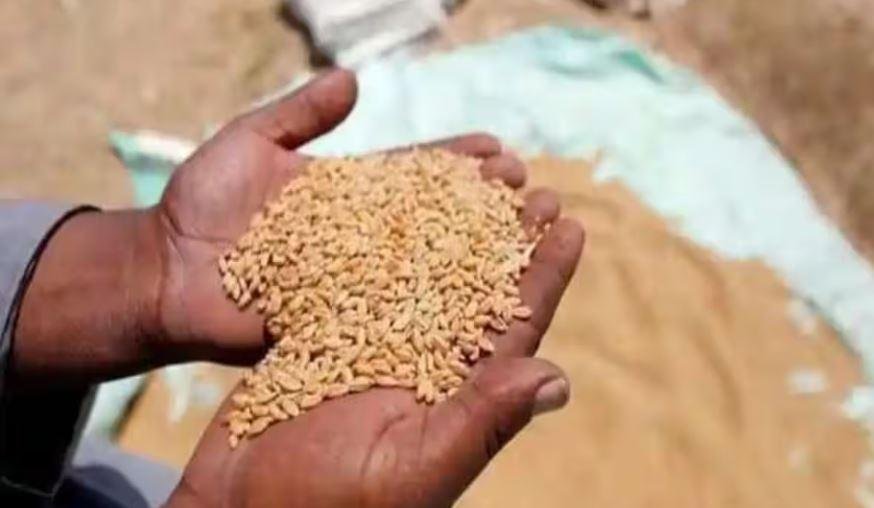 पूरे प्रदेश में 15 जून तक चलेगी गेहूं की खरीद, इस वर्ष बटाईदार किसान भी पंजीकरण कराते हुए कर सकेंगे बिक्री