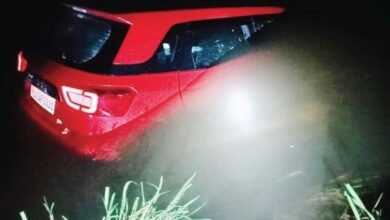 गूगल मैप के चक्कर में नदी में जा घुसी गाड़ी, बाल-बाल बचे सवार