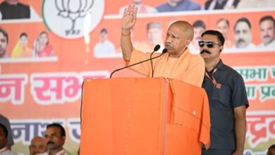 मोदी सरकार ने पिछले 10 साल में बनाए हैं बाबा साहब के पंच तीर्थ : सीएम