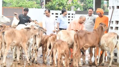 #YogiModel #CowWelfareUP #AtmanirbharGaushala #WomenEmpowerment #RuralEconomy #EcoFriendlyIndia #UPDevelopment