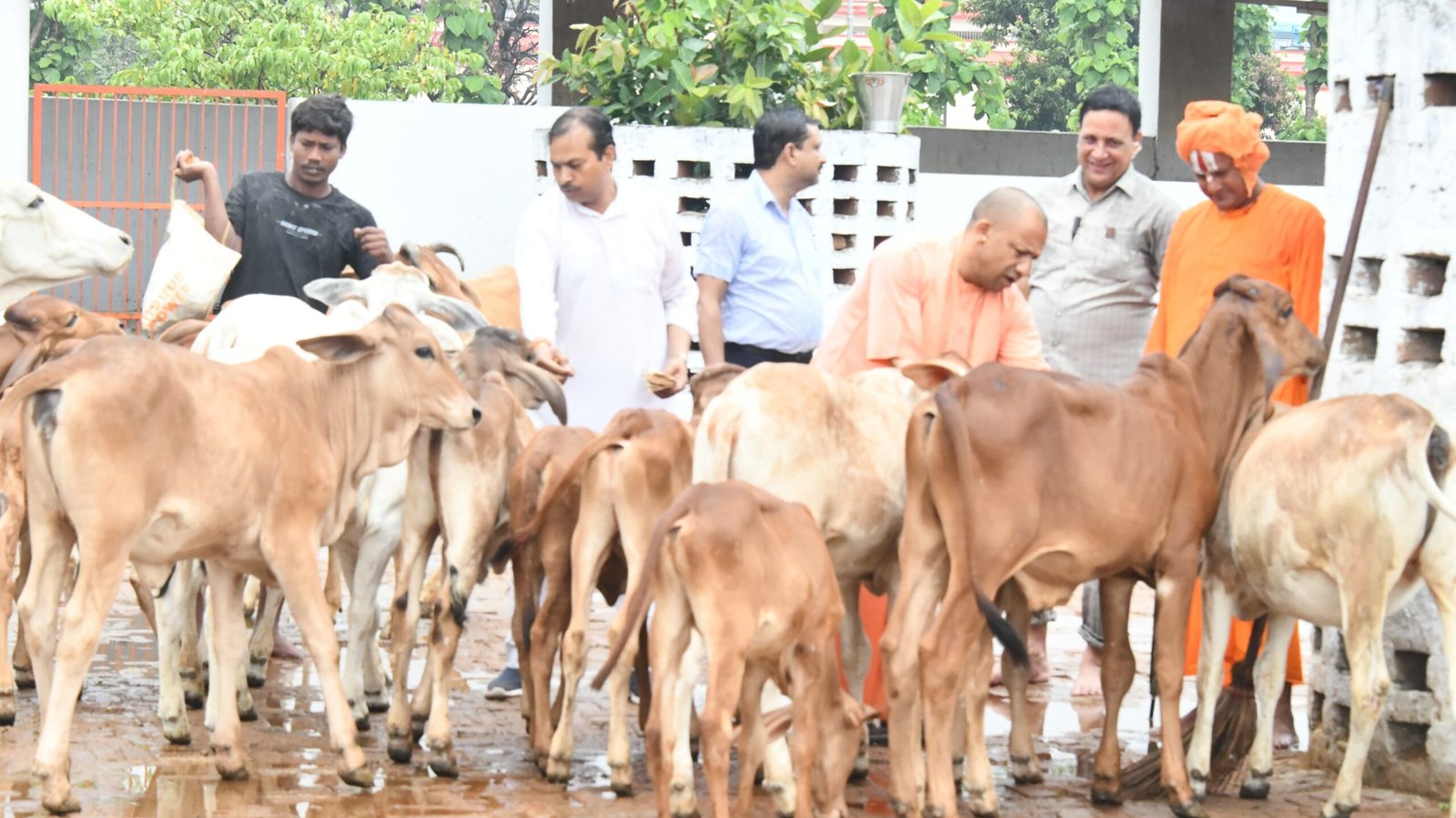 #YogiModel #CowWelfareUP #AtmanirbharGaushala #WomenEmpowerment #RuralEconomy #EcoFriendlyIndia #UPDevelopment