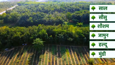 आरआरवीयूवीएनएल और अदाणी एंटरप्राइजेज के बागवानी विभाग की बड़ी उपलब्धि
