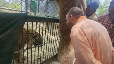 दहाड़कर बाघ अमर और बब्बर शेर पटौदी ने दी सीएम योगी को सलामी