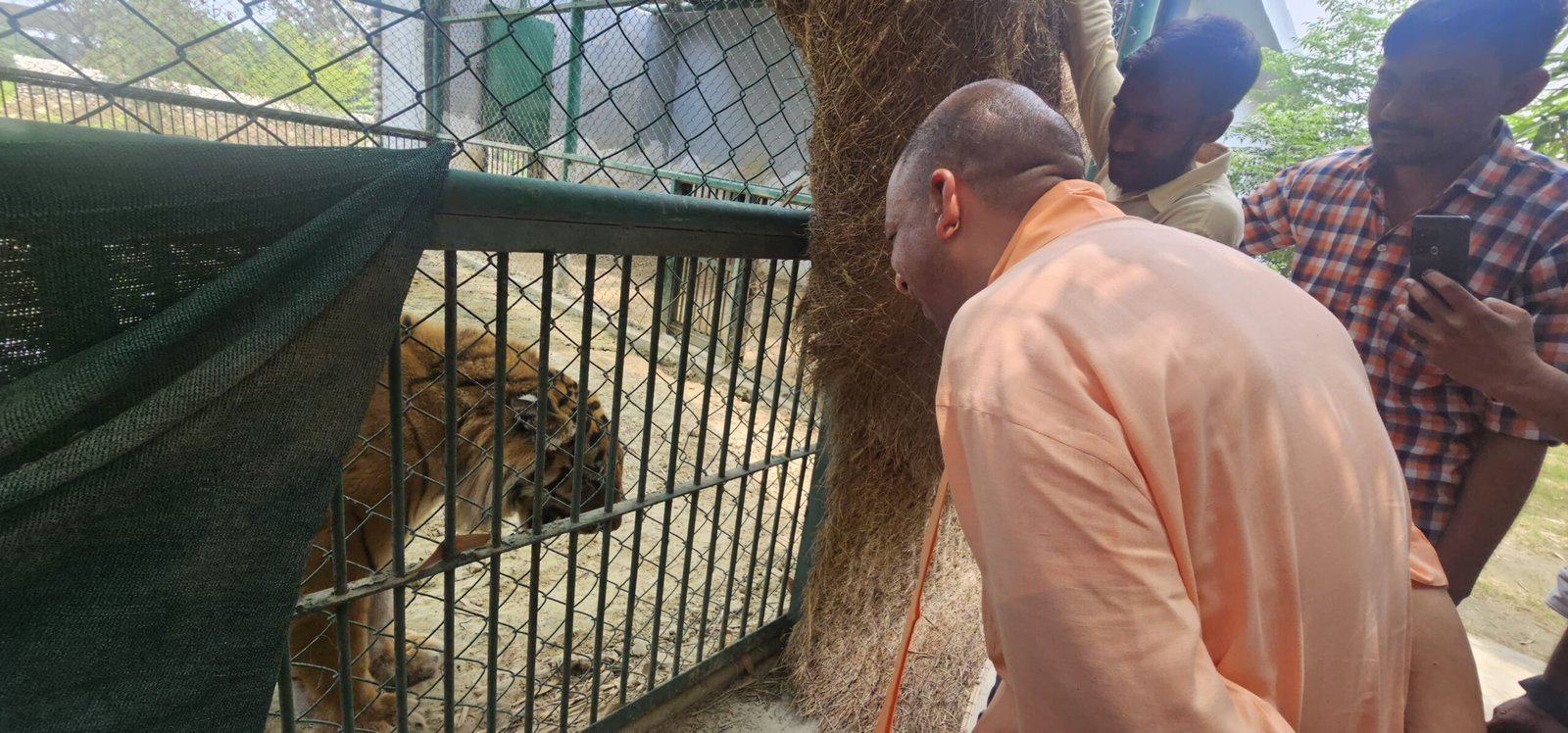 दहाड़कर बाघ अमर और बब्बर शेर पटौदी ने दी सीएम योगी को सलामी