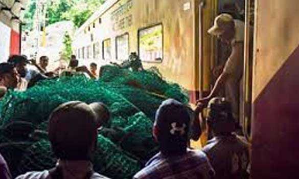 मध्यप्रदेश : रेलवे ट्रैक पर घायल हुए बाघ शावक, उपचार के लिए चली एक डिब्बे की विशेष ट्रेन