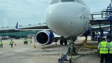 मधुमक्खियों ने रोकी चेन्नई-रायपुर फ्लाइट, बस में फंसे रहे यात्री