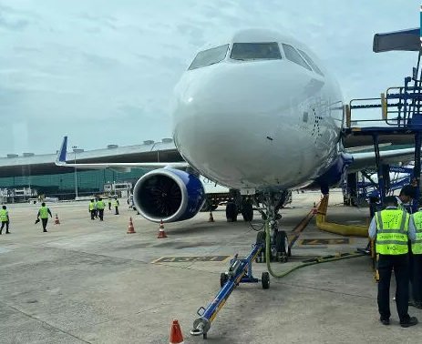 मधुमक्खियों ने रोकी चेन्नई-रायपुर फ्लाइट, बस में फंसे रहे यात्री