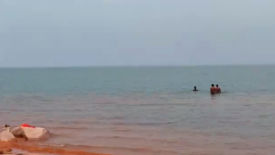 सभी विकास कार्यों को पूरा करने के लिए यूपी प्रोजेक्ट कॉर्पोरेशन लिमिटेड ने शुरू की तैयारी, शॉर्ट टर्म टेंडर के जरिए मांगे गए हैं आवेदन