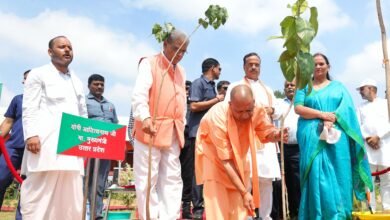पेड़ लगाओ, पेड़ बचाओ जनअभियान-2024:सीएम योगी ने लखनऊ, प्रयागराज और गोरखपुर में रोपा पौधा