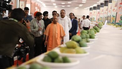 बोले सीएम- अमेरिका में 900 रुपए किलो बिक रहा लखनऊ का दशहरी