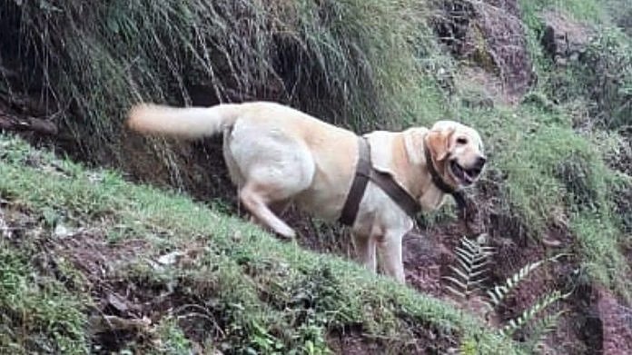 आतंकियों से लड़ते हुए शहीद हुई 'केंट', मरणोपरांत मिला वीरता पुरस्कार